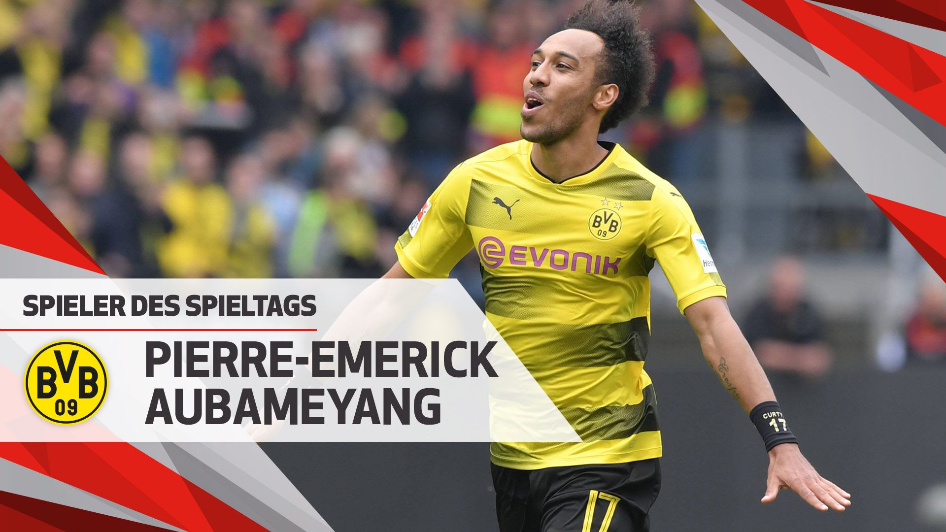 单人双吹风淋室（彩钢板）